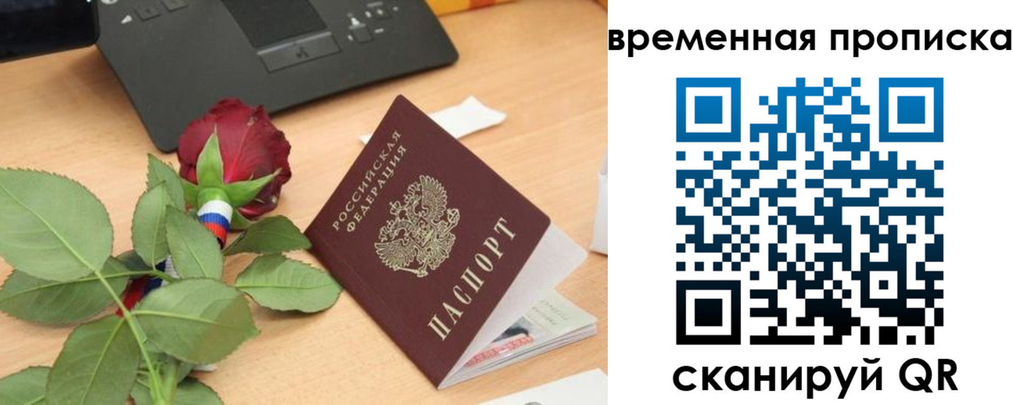 временная регистрация поиск в Лесозаводске